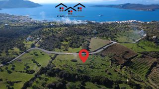Αγροτεμάχια 7.000 τ.μ. προς πώληση, Νέα Στύρα-thumb-1