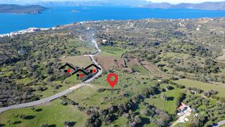 Αγροτεμάχια 7.000 τ.μ. προς πώληση, Νέα Στύρα-thumb-15