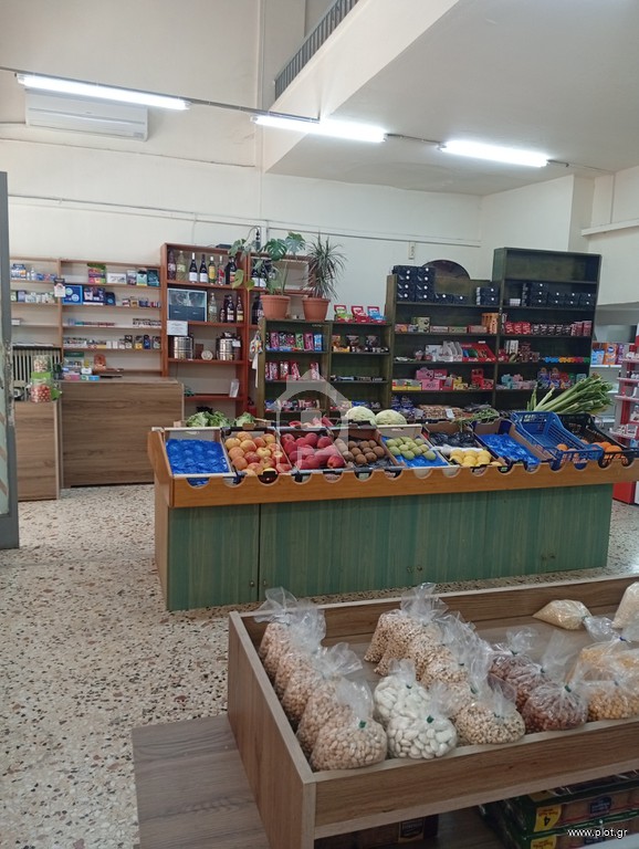 Επιχείρηση 170 τ.μ. πρός πώληση, Ν. Τρικάλων, Τρίκαλα