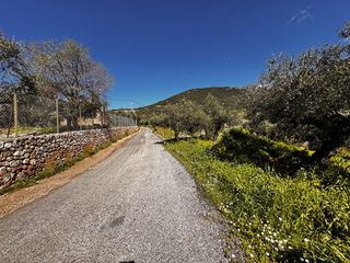 Οικόπεδο 4.600 τ.μ. για πώληση