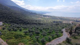 Οικόπεδο 4.600 τ.μ. για πώληση, Μεσσηνία, Καλαμάτα-thumb-4