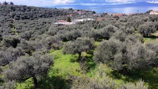 Οικόπεδο 4.600 τ.μ. για πώληση, Μεσσηνία, Καλαμάτα-thumb-1