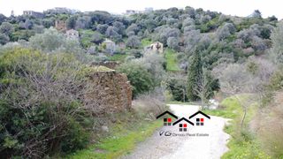 Οικόπεδο 220 τ.μ. προς πώληση, Ζάρακες-thumb-10