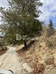 Οικόπεδο 11.000 τ.μ. για πώληση, Ν. Ρεθύμνου, Λάππα-thumb-10