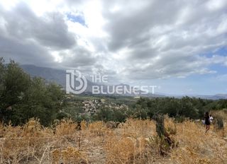 Οικόπεδο 11.000 τ.μ. για πώληση, Ν. Ρεθύμνου, Λάππα-thumb-8