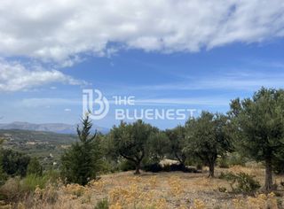 Οικόπεδο 11.000 τ.μ. για πώληση, Ν. Ρεθύμνου, Λάππα-thumb-18