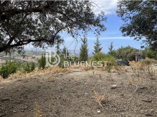 Οικόπεδο 11.000 τ.μ. για πώληση, Ν. Ρεθύμνου, Λάππα-thumb-15