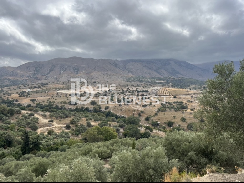 Οικόπεδο 11.000 τ.μ. πρός πώληση, Ν. Ρεθύμνου, Λάππα