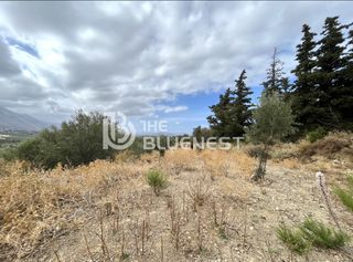 Οικόπεδο 11.000 τ.μ. για πώληση, Ν. Ρεθύμνου, Λάππα-thumb-6