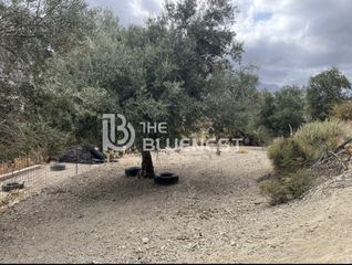 Οικόπεδο 11.000 τ.μ. για πώληση, Ν. Ρεθύμνου, Λάππα-thumb-11