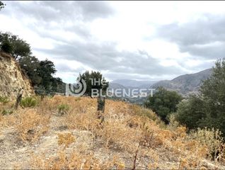 Οικόπεδο 11.000 τ.μ. για πώληση, Ν. Ρεθύμνου, Λάππα-thumb-13