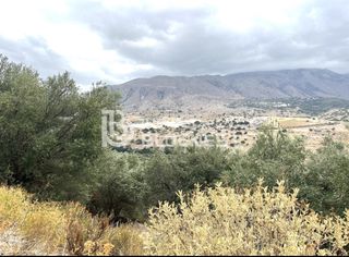 Οικόπεδο 11.000 τ.μ. για πώληση, Ν. Ρεθύμνου, Λάππα-thumb-5