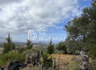 Οικόπεδο 11.000 τ.μ. για πώληση, Ν. Ρεθύμνου, Λάππα-thumb-9