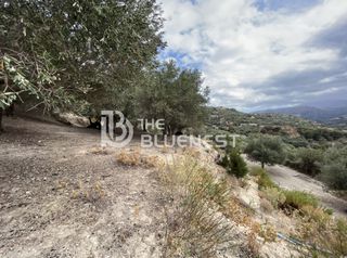 Οικόπεδο 11.000 τ.μ. για πώληση, Ν. Ρεθύμνου, Λάππα-thumb-16
