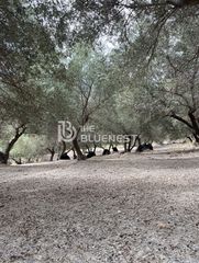 Οικόπεδο 11.000 τ.μ. για πώληση, Ν. Ρεθύμνου, Λάππα-thumb-19
