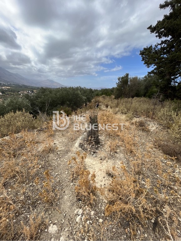 Οικόπεδο 11.000 τ.μ. πρός πώληση, Ν. Ρεθύμνου, Λάππα