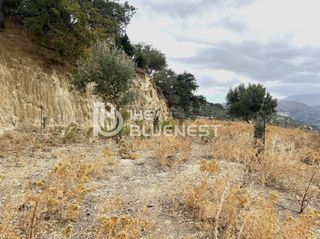 Οικόπεδο 11.000 τ.μ. για πώληση, Ν. Ρεθύμνου, Λάππα-thumb-7