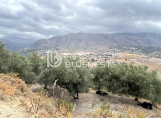 Οικόπεδο 11.000 τ.μ. για πώληση, Ν. Ρεθύμνου, Λάππα-thumb-20