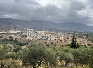 Οικόπεδο 11.000 τ.μ. για πώληση, Ν. Ρεθύμνου, Λάππα-thumb-17