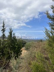Οικόπεδο 11.000 τ.μ. για πώληση, Ν. Ρεθύμνου, Λάππα-thumb-22