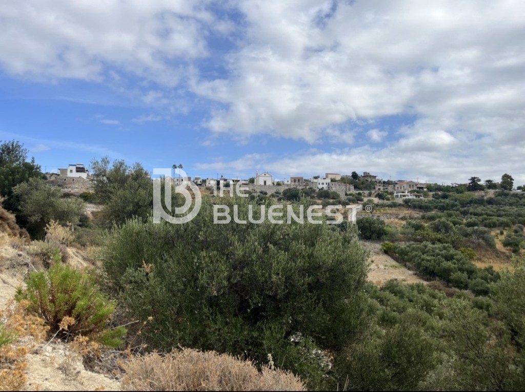 Οικόπεδο 11.000 τ.μ. πρός πώληση, Ν. Ρεθύμνου, Λάππα