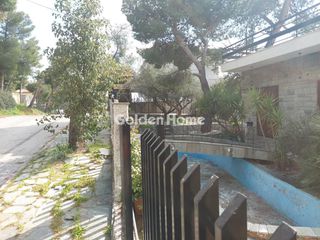Οικόπεδο 1.107 τ.μ. προς πώληση