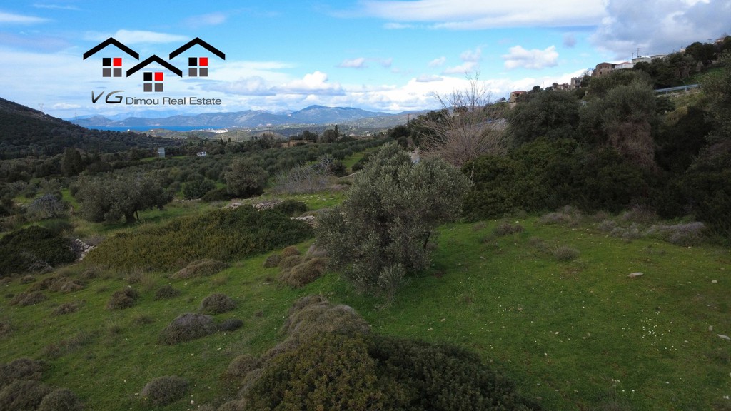 Land plot 3.080 sqm for sale, Kapsala, Stira