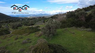 Οικόπεδο 3.080 τ.μ. για πώληση, Εύβοια, Στύρα-thumb-4