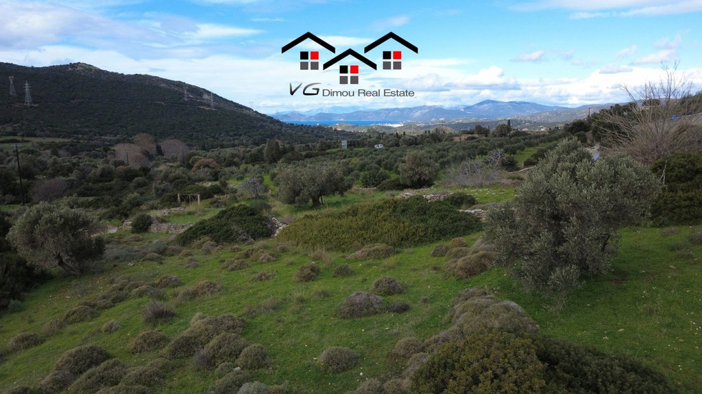 Land plot 3.080 sqm for sale, Kapsala, Stira