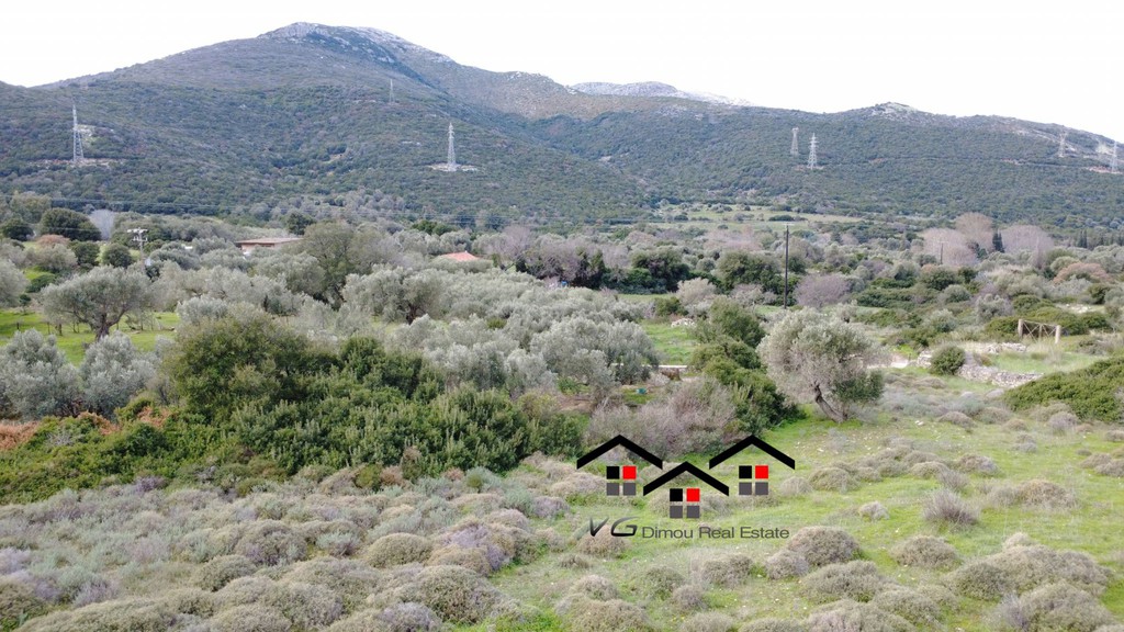 Land plot 3.080 sqm for sale, Kapsala, Stira
