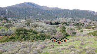 Οικόπεδο 3.080 τ.μ. για πώληση, Εύβοια, Στύρα-thumb-2
