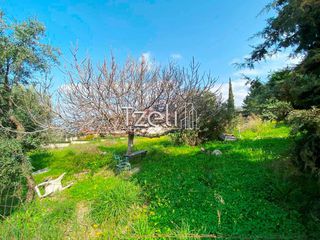 Μονοκατοικία 270 τ.μ. για πώληση, Αχαΐα, Μεσσατίδα-thumb-4