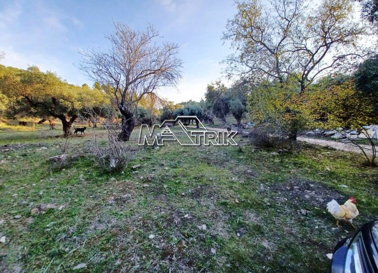 Αγροτεμάχια 10.314 τ.μ. πρός πώληση, Χαλκιδική, Σιθωνία