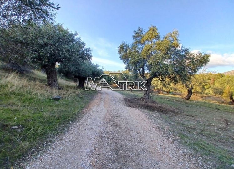 Αγροτεμάχια 10.314 τ.μ. πρός πώληση, Χαλκιδική, Σιθωνία