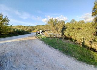Αγροτεμάχια 10.314 τ.μ. για πώληση