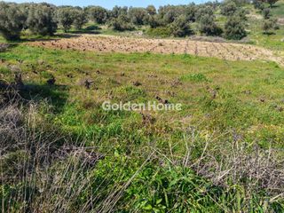 Οικόπεδο 4.037 τ.μ. πρός πώληση