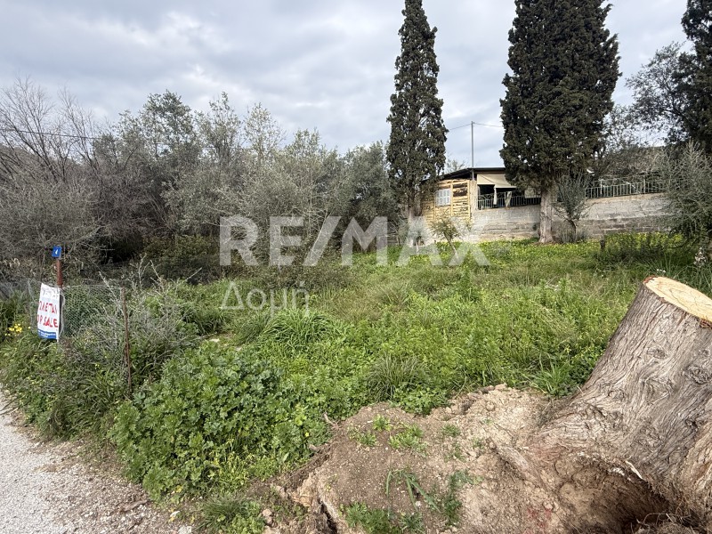 Οικόπεδο 234 τ.μ. πρός πώληση, Μαγνησία, Νέα Αγχίαλος