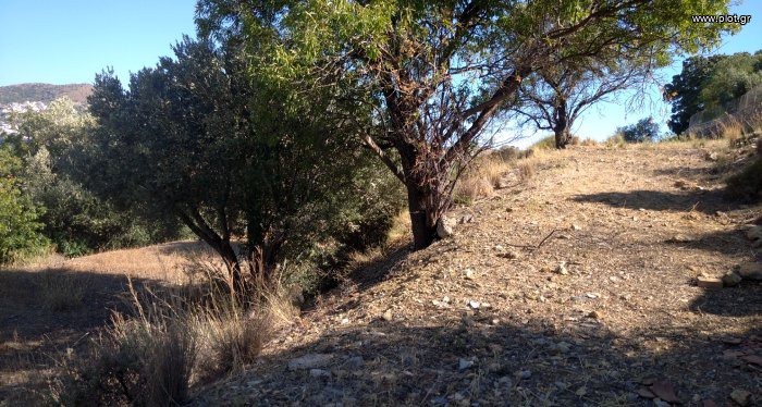 Οικόπεδο 1.268 τ.μ. πρός πώληση, Δωδεκάνησα, Λέρος
