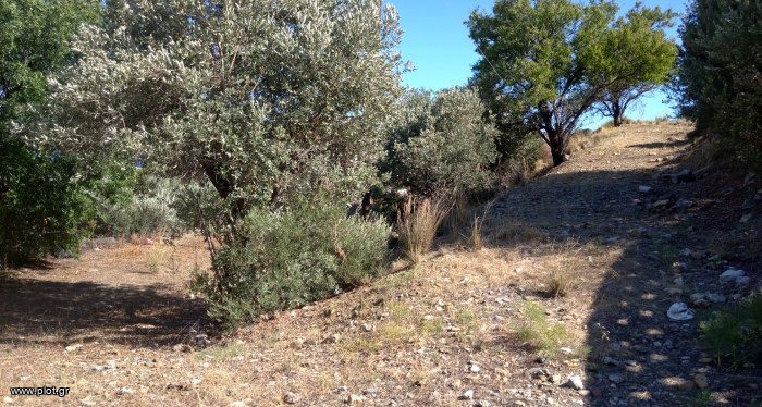 Οικόπεδο 1.268 τ.μ. πρός πώληση, Δωδεκάνησα, Λέρος
