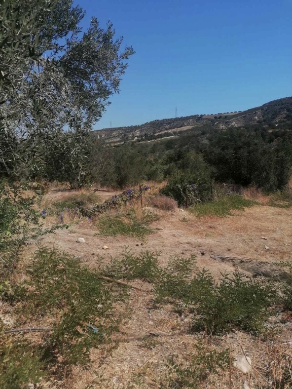 Οικόπεδο 1.314 τ.μ. προς πώληση, Κνωσός