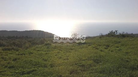 Οικόπεδο 2.700 τ.μ. για πώληση