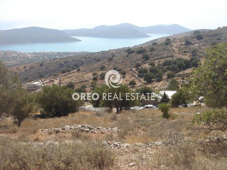 Αγροτεμάχια 8.332 τ.μ. για πώληση