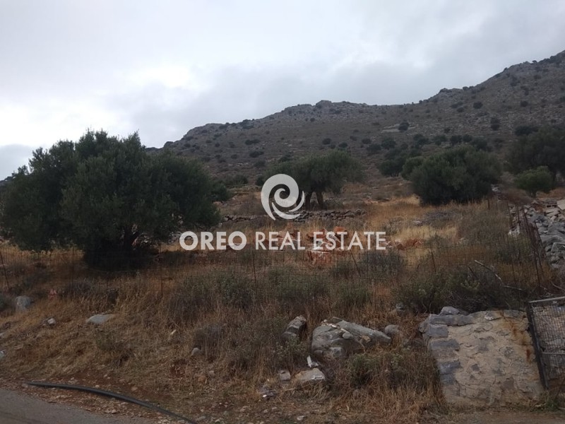 Αγροτεμάχια 8.332 τ.μ. πρός πώληση, Ν. Λασιθίου, Άγιος Νικόλαος