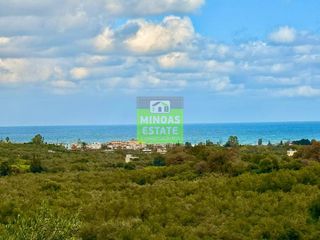 Οικόπεδο 5.200 τ.μ. για πώληση, Ν. Χανίων, Γεωργιούπολη-thumb-13