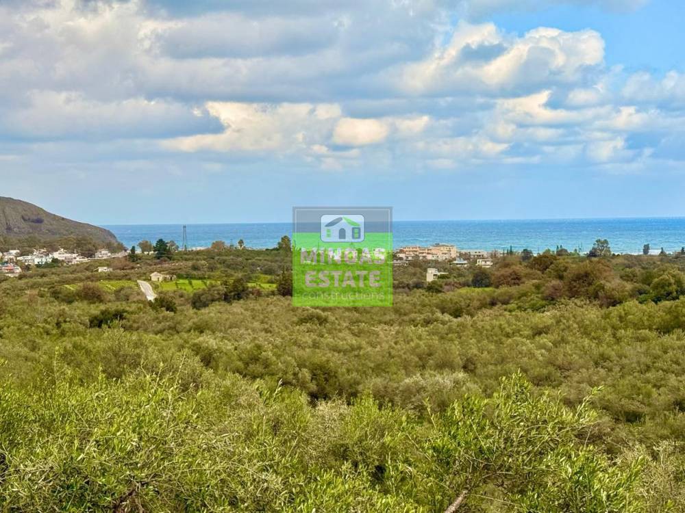 Οικόπεδο 5.200 τ.μ. προς πώληση, Μαθές