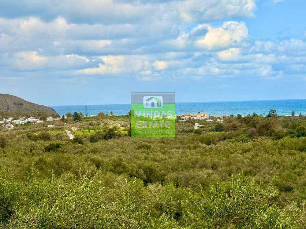 Οικόπεδο 5.200 τ.μ. προς πώληση, Μαθές