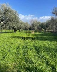 Αγροτεμάχια 3 τ.μ. για πώληση