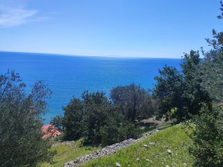 Οικόπεδο 12.289 τ.μ. για πώληση, Ν. Σάμου, Σάμος-thumb-2