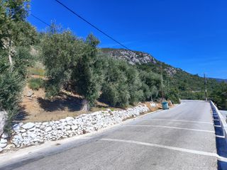 Οικόπεδο 12.289 τ.μ. για πώληση, Ν. Σάμου, Σάμος-thumb-6