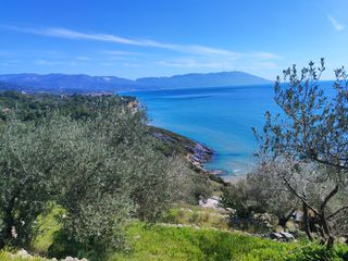 Οικόπεδο 12.289 τ.μ. για πώληση, Ν. Σάμου, Σάμος-thumb-1